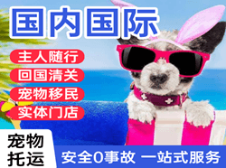 果洛玛沁航空货运国际宠物托运 【国